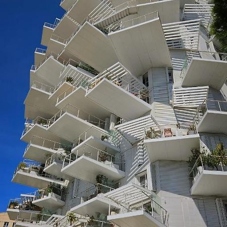 Arbre Blanc, Une Folie Montpellieraine Dış mekan fotoğraf