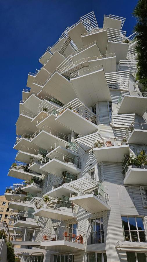 Arbre Blanc, Une Folie Montpellieraine Dış mekan fotoğraf