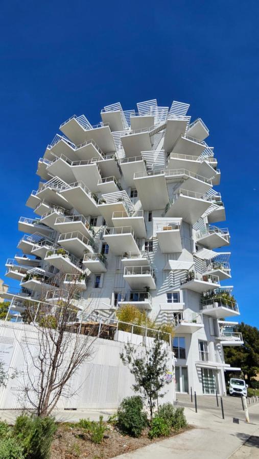 Arbre Blanc, Une Folie Montpellieraine Dış mekan fotoğraf