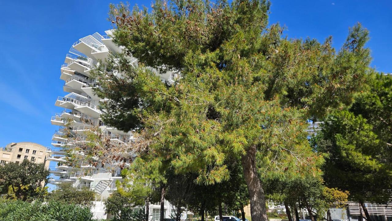 Arbre Blanc, Une Folie Montpellieraine Dış mekan fotoğraf